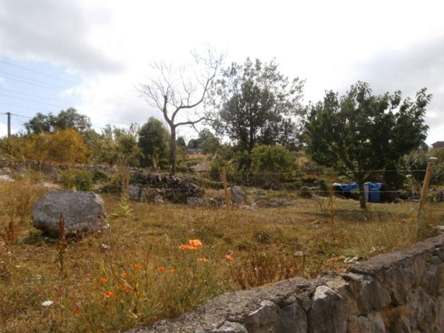 Terreno en venta en Oviedo, Las Regueras photo 0
