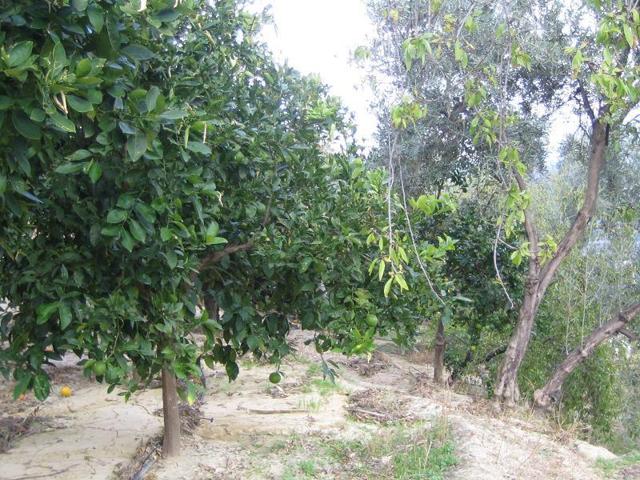 Chalet en venta en Piñar, Restabal photo 0