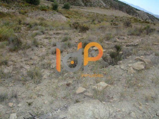 Terreno en venta en Huércal-Overa, Campo photo 0