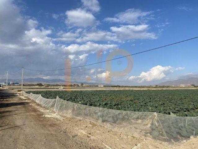 Terreno en venta en Huércal-Overa, El Saltador photo 0