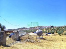 Chalet en venta en Segura de León, Segura De Leon photo 0