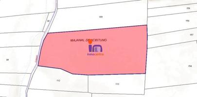 Chalet en venta en Torrenueva, Torrenueva photo 0