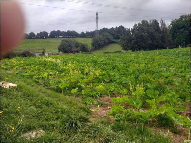 Terreno en venta en Gijón, Porceyo photo 0