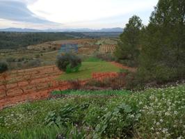 Chalet en venta en El Masroig photo 0