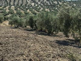 Chalet en venta en Torre del Campo photo 0