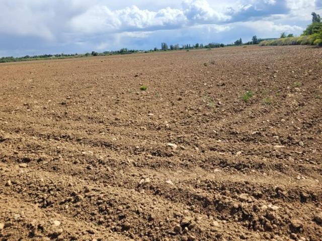 Chalet en venta en Malagón, Malagon photo 0