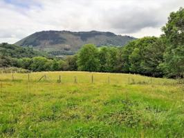 Terreno en venta en Piloña, Pilona photo 0
