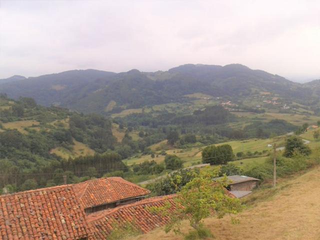 Terreno en venta en Candamo, Candamo photo 0