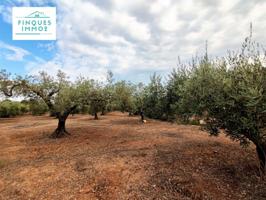 Chalet en venta en Càlig, Afueras photo 0