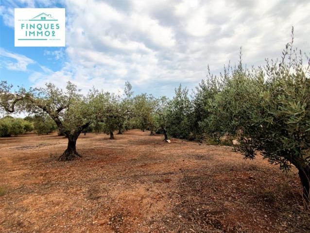 Chalet en venta en Càlig, Afueras photo 0