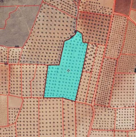 Chalet en venta en Torrenueva, Torrenueva photo 0