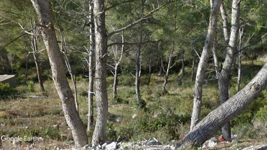 Terreno en venta en Canyelles, Les Palmeres photo 0