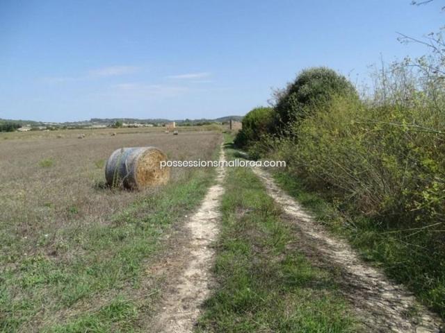 Terreno en venta en Algaida, Algaida campo photo 0