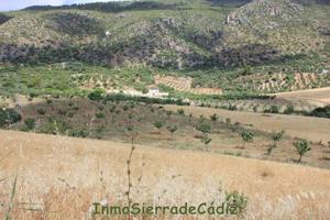 Chalet en venta en Algodonales, Campo Huerta photo 0