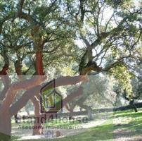 Terreno en venta en Berrocal, BERROCAL photo 0