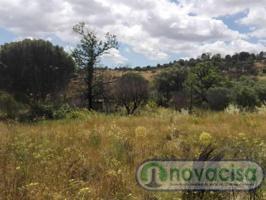 Terreno en venta en Cadalso de los Vidrios photo 0