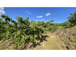 Chalet en venta en Valdastillas photo 0