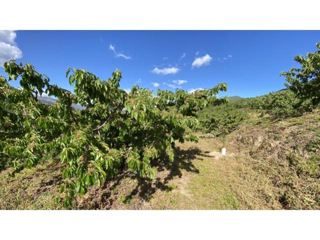 Chalet en venta en Valdastillas photo 0