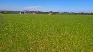 Terreno en venta en Castropol, Brul photo 0