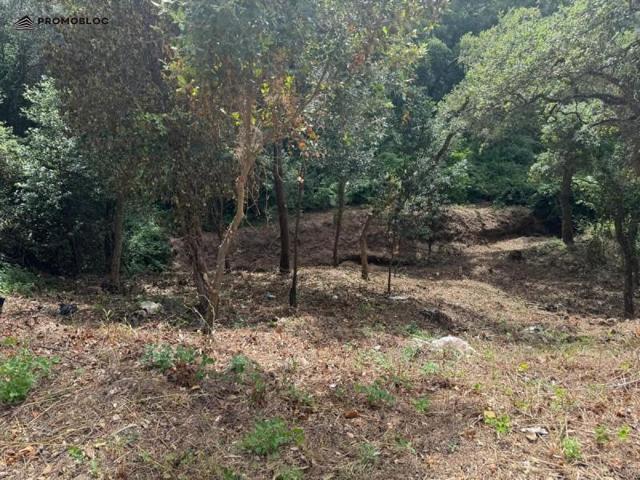 Terreno en venta en Vallgorguina, Baronia del Montseny photo 0