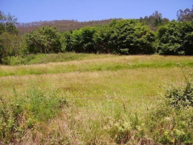 Terreno en venta en Grado, Grado photo 0