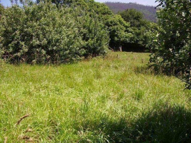 Terreno en venta en Candamo, Candamo photo 0