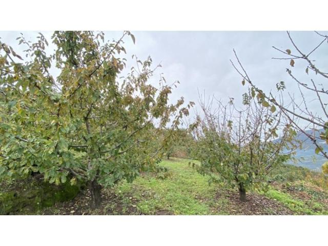 Chalet en venta en Cabrero photo 0