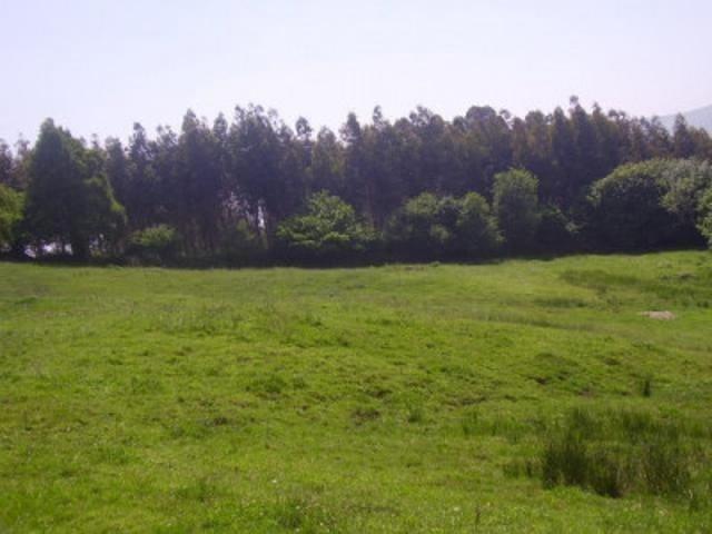 Terreno en venta en Avilés, Aviles photo 0