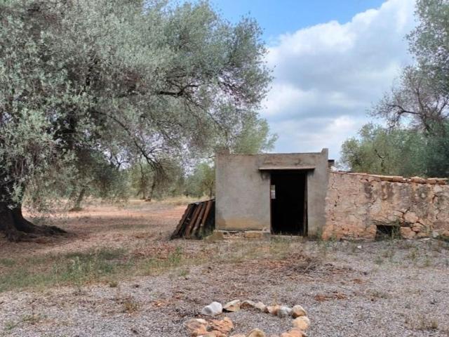 Chalet en venta en Sant Mateu photo 0