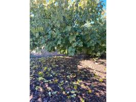 Chalet en venta en Ronda, Los Prados photo 0