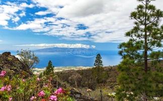 Terreno en venta en Guía de Isora photo 0