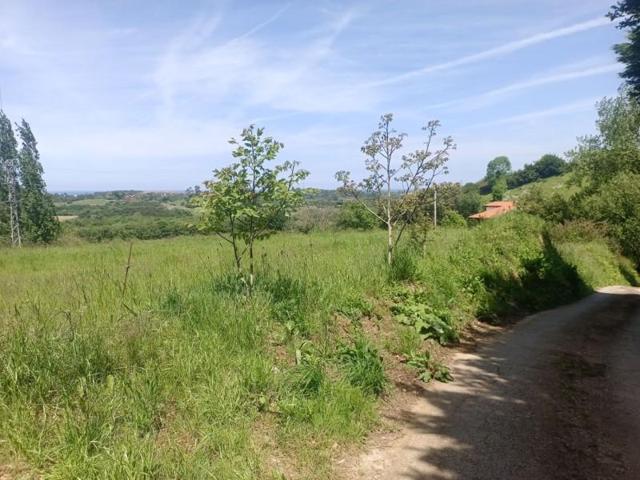 Chalet en venta en Llanes, Parres photo 0