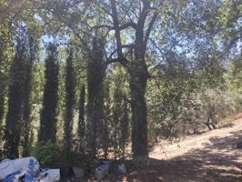 Chalet en venta en Cazorla, Iruela (La) photo 0