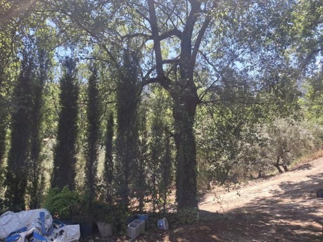 Chalet en venta en Cazorla, Iruela (La) photo 0