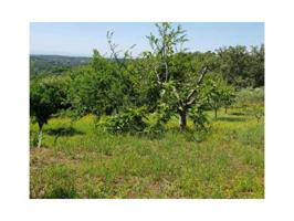 Chalet en venta en Madrigal de la Vera photo 0