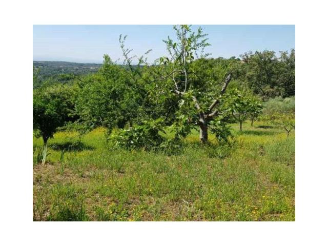 Chalet en venta en Madrigal de la Vera photo 0