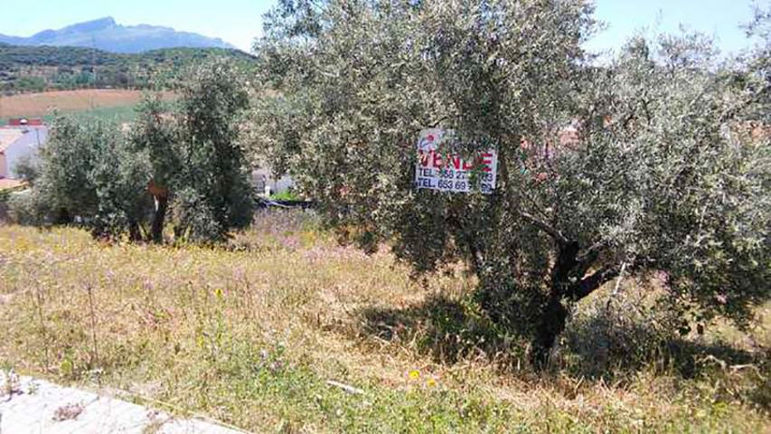Terreno en venta en Archidona, Archidona photo 0