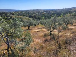 Terreno en venta en Malcocinado, Malcocinado photo 0