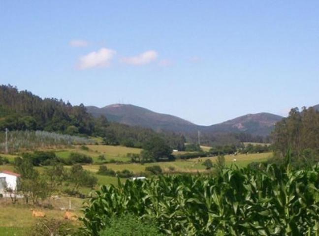 Terreno en venta en Las Regueras, Las Regueras photo 0