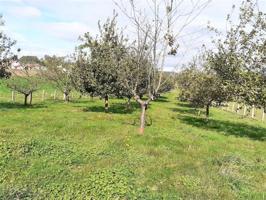 Terreno en venta en Nava, Nava photo 0