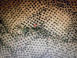 Chalet en venta en Jamilena, Jamilena photo 0