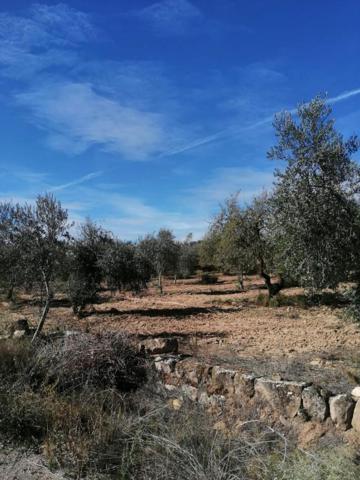 Chalet en venta en Castelldans, Castelldans photo 0