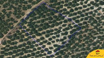 Chalet en venta en Alcalá la Real, Alcala La Real photo 0