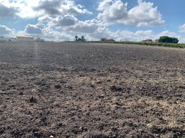 Chalet en venta en Sanlúcar de Barrameda, Montijo photo 0