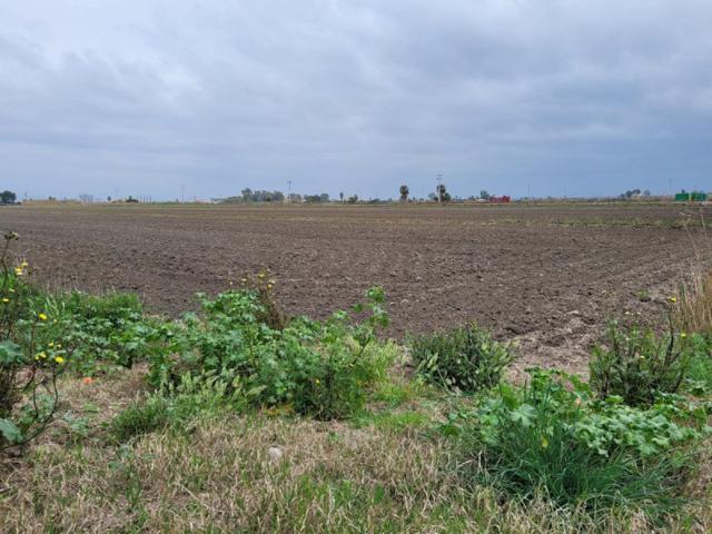 Chalet en venta en Sant Carles de la Ràpita, Sant Carles De La Rapita photo 0