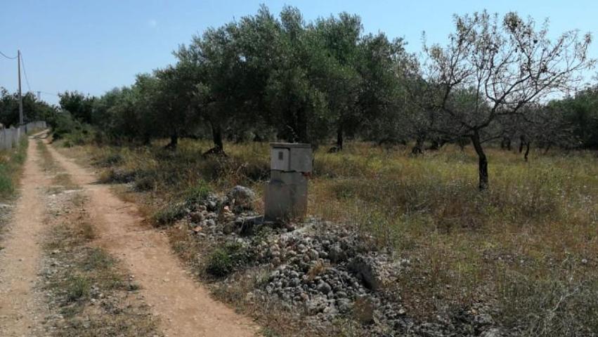 Chalet en venta en Vinaròs, Afueras photo 0