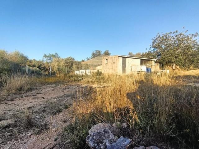 Chalet en venta en Vinaròs, Afueras photo 0