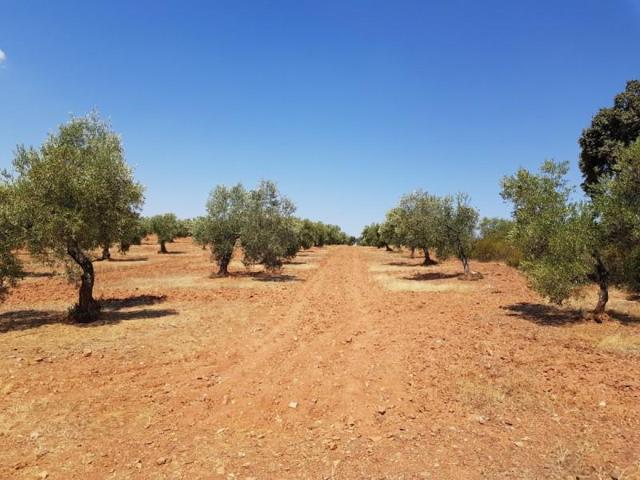 Chalet en venta en Villanueva del Duque, Villanueva del duque photo 0