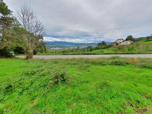 Terreno en venta en Candamo, Candamo photo 0