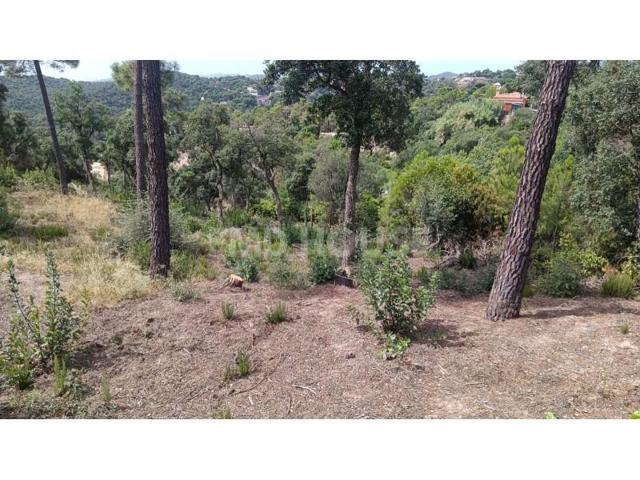 Terreno en venta en Lloret de Mar photo 0